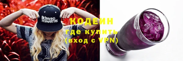 apvp Инсар