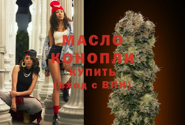 apvp Инсар