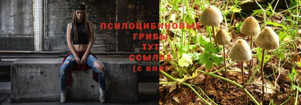 apvp Инсар
