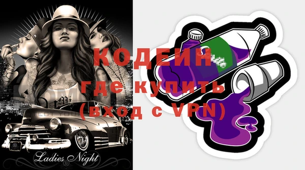 apvp Инсар
